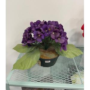 Pot hortensia violet