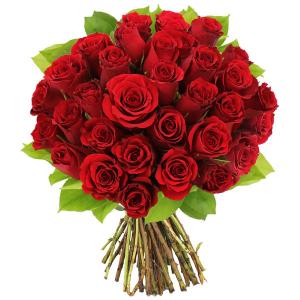 Bouquet de 15 Roses rouge